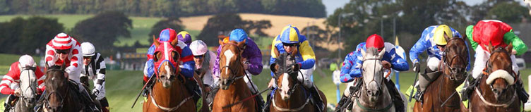 horses